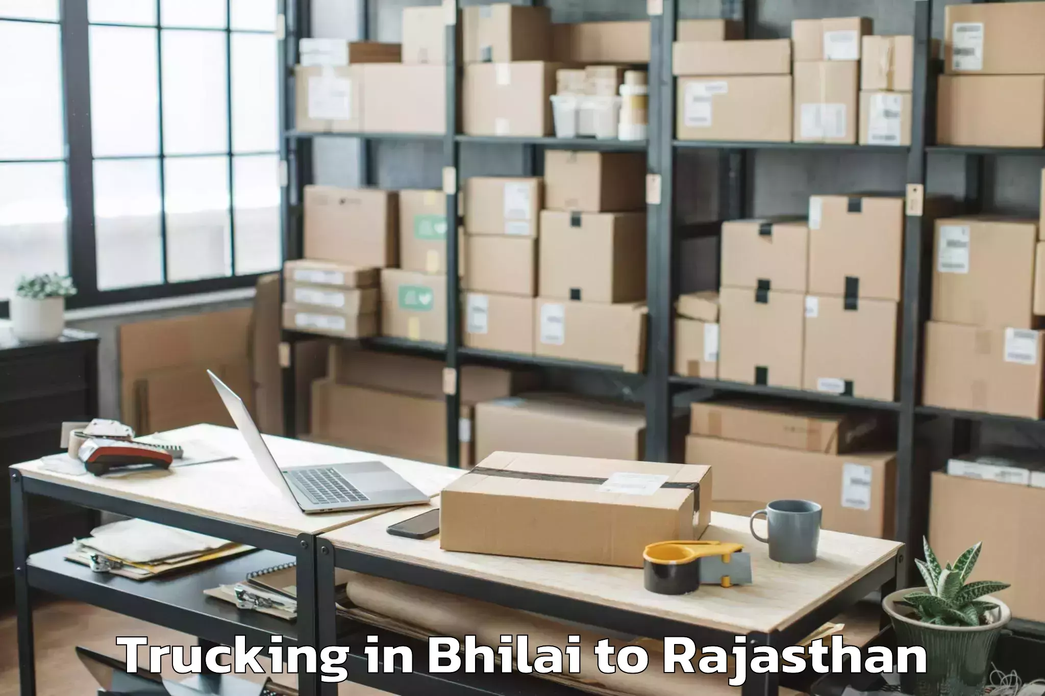 Hassle-Free Bhilai to Udaipurwati Trucking